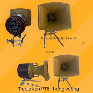 Chép kèn PT 6