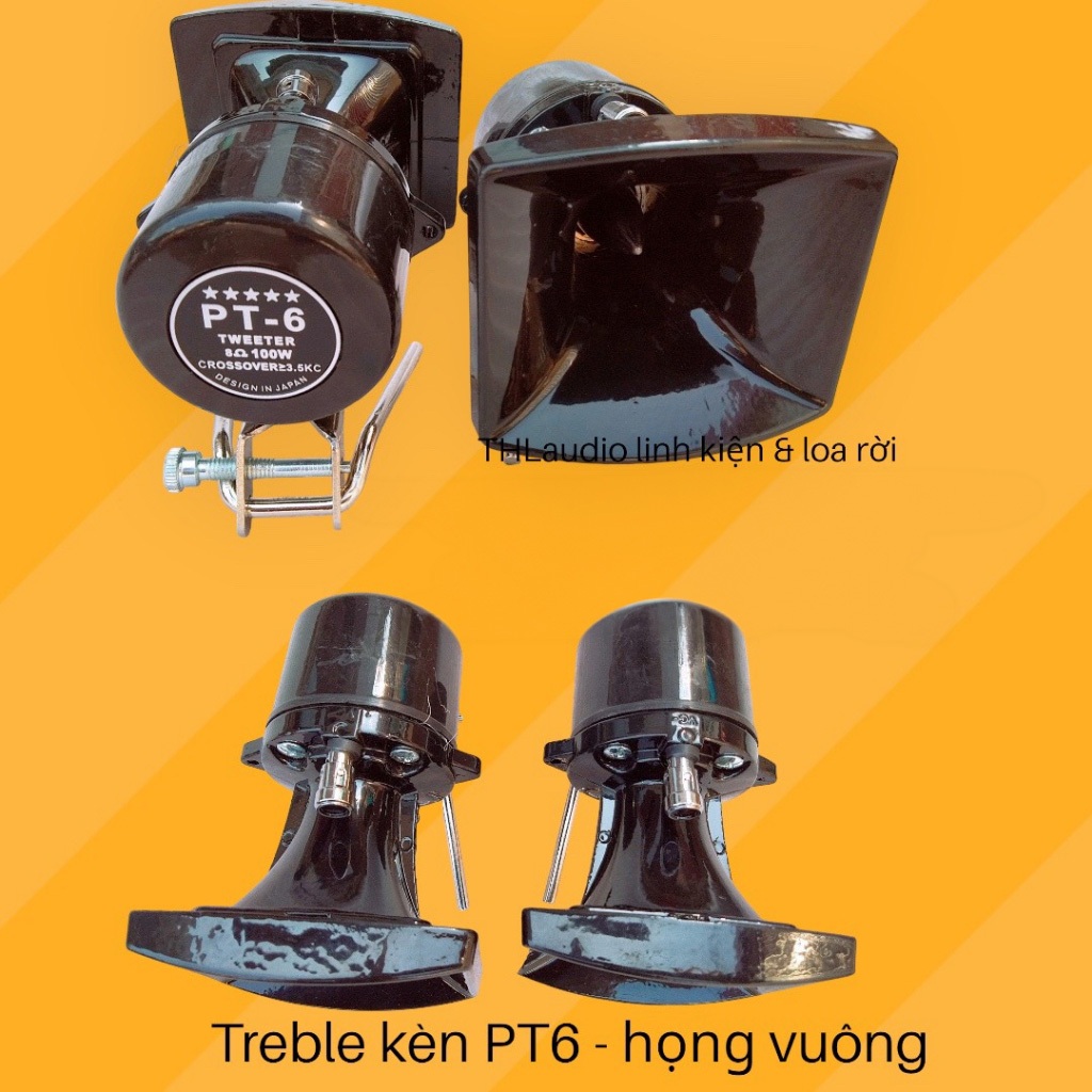 Chép kèn PT 6