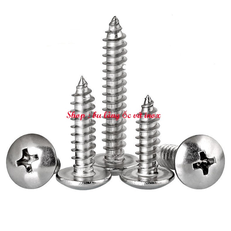 Vít gỗ dù inox 304 M5, vít gạo, vít bắn gỗ đầu dù, vít inox | Shopee ...