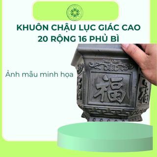 Khuôn lục giác 20 cao 17cm nhựa  abs
