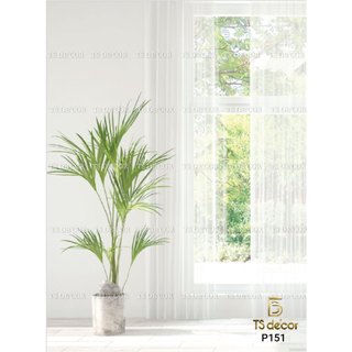 Phông nền màu trắng giả rèm trắng 3D 5D khổ rộng