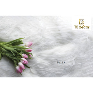 Thảm Chụp Hình Ảnh Sản Phẩm 5D...