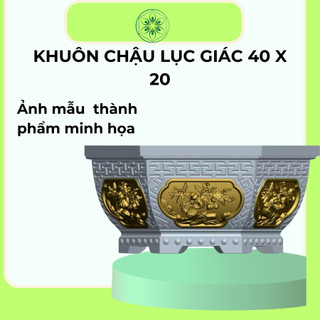 Khuôn Đổ Chậu Lục Giác Rộng 40cm Cao 20cm Mẫu Tùng Sen Mai
