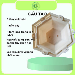 Khuôn Đổ Chậu Lục Giác Rộng 40cm Cao 20cm Mẫu Tùng Sen Mai