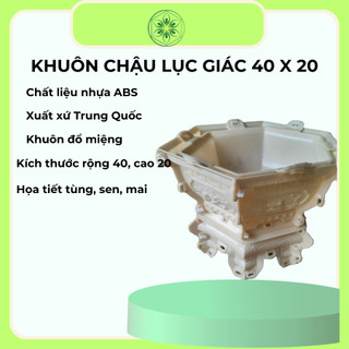 Khuôn Đổ Chậu Lục Giác Rộng 40cm Cao 20cm Mẫu Tùng Sen Mai