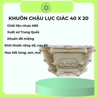 Khuôn Đổ Chậu Lục Giác Rộng 40cm Cao 20cm Mẫu Tùng Sen Mai