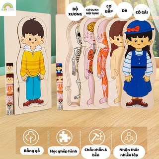 Đồ Chơi Lắp Ráp Giải Phẫu Cơ Thể Người Bằng Gỗ - Mô Hình Giáo Dục Sớm Cho Trẻ Em