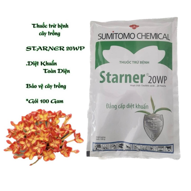 Starner - Giá Tốt, Miễn Phí Vận Chuyển, Đủ Loại | Shopee Việt Nam
