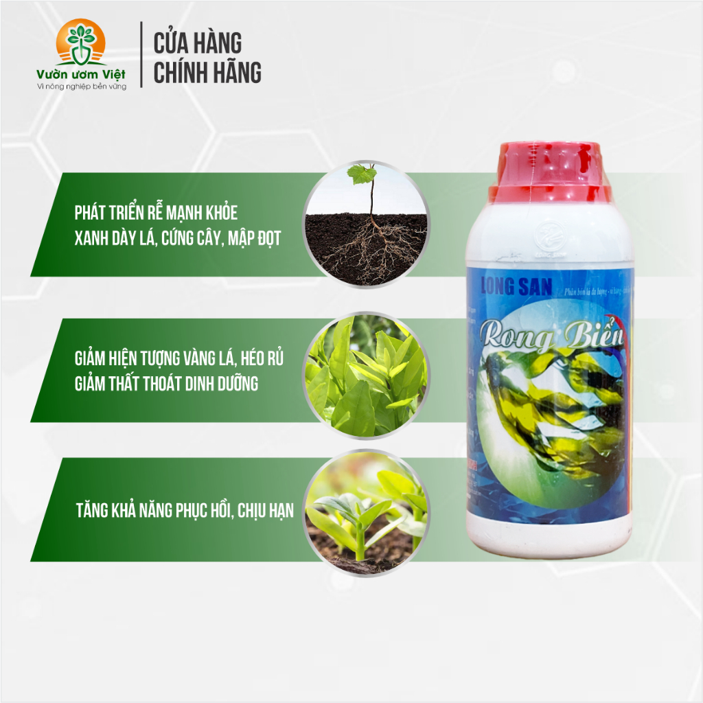 Phân bón Rong Biển - làm mát cây, đảm bộ lá xanh mướt, đâm đọt cực nhanh, rễ mới ra liên tục - 500ml