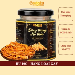 Lọ 10 gam sợi gãy - Đông trùng hạ thảo sợi sấy khô thăng hoa CADOTA