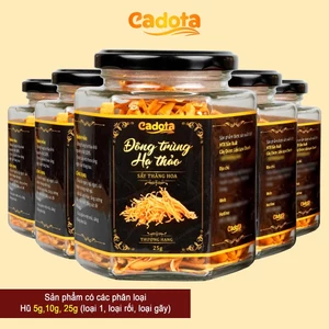 Nấm Đông Trùng Hạ Thảo Khô Sấy Thăng Hoa CADOTA, Giá Bán Buôn, Xưởng Trực Tiếp Sản Xuất