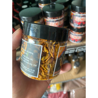 UDANG RED PR+ tép kích màu đỏ cho cá lóc vảy rồng red  từ