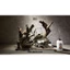 Layout Biotope, Blackwater Setup Sẵn | Làm Layout Theo Yêu Cầu