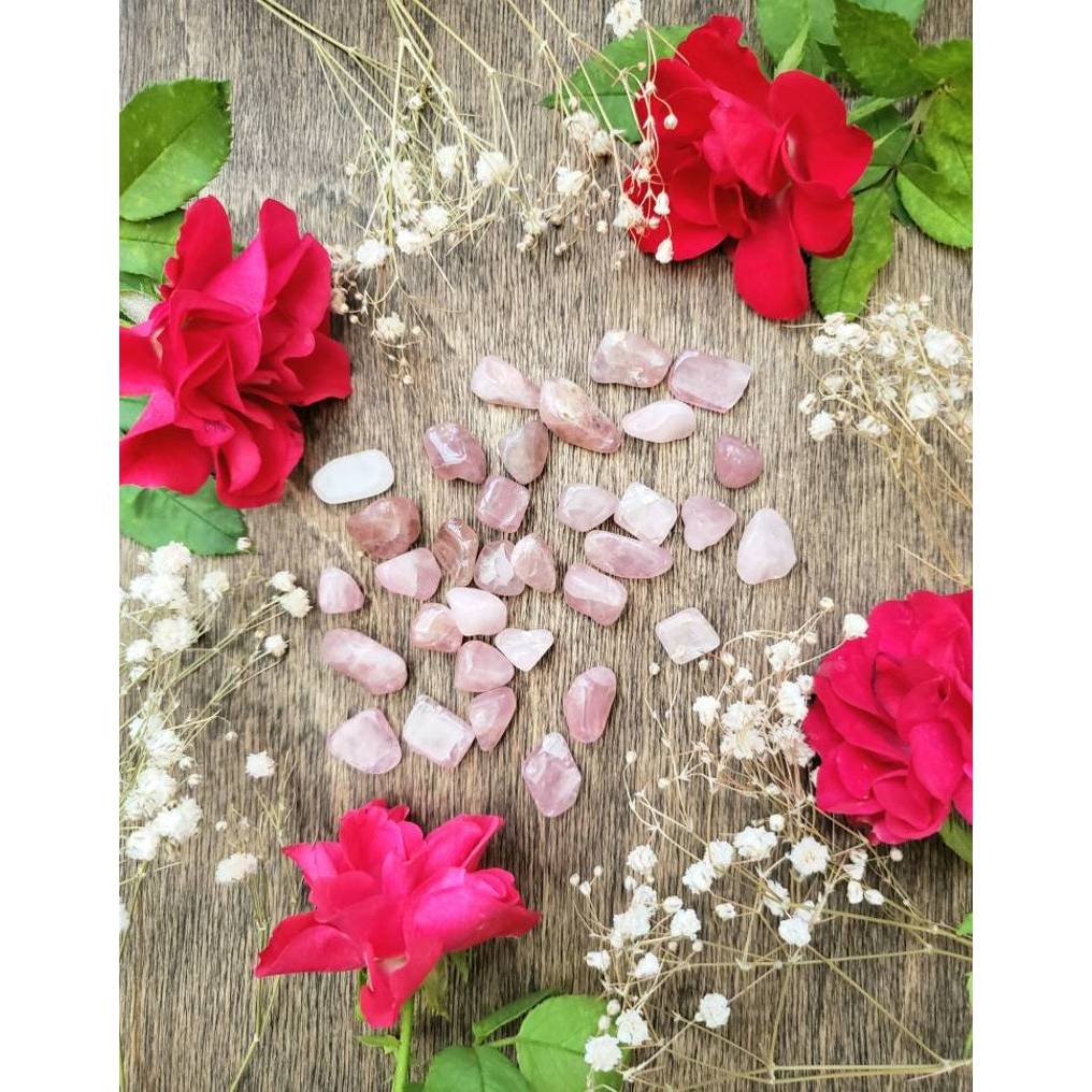 Thạch Anh Hồng- Hũ đá thanh tẩy Rose Quartz trang trí phong thủy biểu tượng của tình yêu và hòa hợp