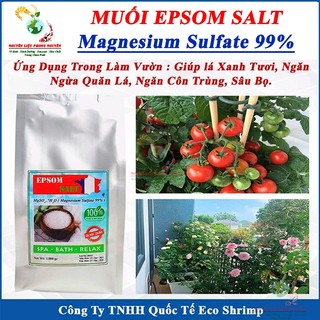 1kg Muối Epsom Salt, MgSO4 Dạng Hạt Tinh Thể, Tinh Khiết Không Tạp Chất Nhập Khẩu Pháp 100%