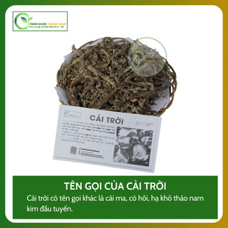 1kg CẢI TRỜI (Cải ma, cỏ hôi, kim đầu tuyến) thanh can hoả | Dược liệu Thanh Loan