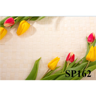 Phông Nền( Thảm ) Chụp Ảnh Sản Phẩm Phụ Kiện, Thời Trang Quần Áo 5D in sẵn phụ kiện decor...