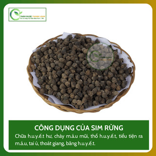1kg SIM RỪNG (sơn nhậm, đương lê, nhậm tử) chứng huyết hư, rối loạn tiêu hoá | Dược liệu Thanh Loan