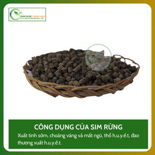 1kg SIM RỪNG (sơn nhậm, đương lê, nhậm tử) chứng huyết hư, rối loạn tiêu hoá | Dược liệu Thanh Loan