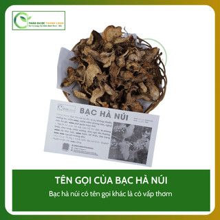 1kg BẠC HÀ NÚI (Cỏ vấp thơm, bạc hà nam) kháng khuẩn, chống ho | Dược liệu Thanh Loan