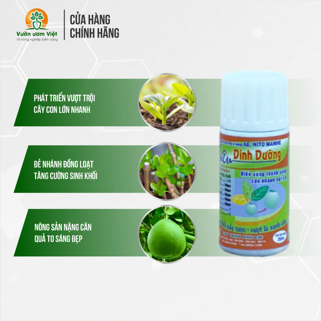 Phân bón lá SIÊU DINH DƯỠNG nuôi đọt, lá cực mạnh, tạo sinh khối, phục hồi lá vàng làm xanh tươi tốt