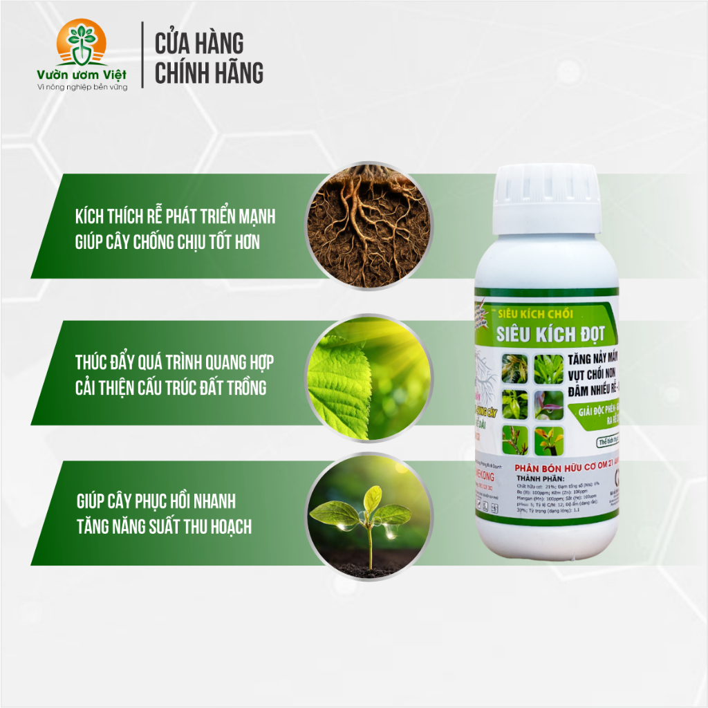 SIÊU KÍCH ĐỌT - bung đọt cực nhanh, thúc lá to, xanh dày, dưỡng bộ lá hoàn thiện, phục hồi lá suy