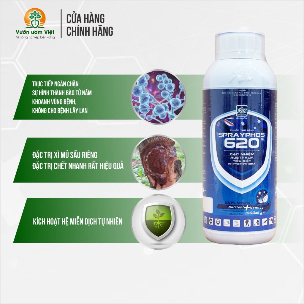 Thuốc trừ bệnh Sprayphos 620SL trị nứt gốc, nứt thân, xì mủ, thối trái, lở da, nấm bệnh cây trồng