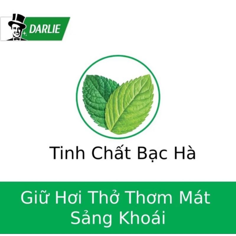 Kem đánh rằng ông già, kem DARLIE DOUBLE ACTION HƯƠNG BẠC HÀ 225g/ tuýp