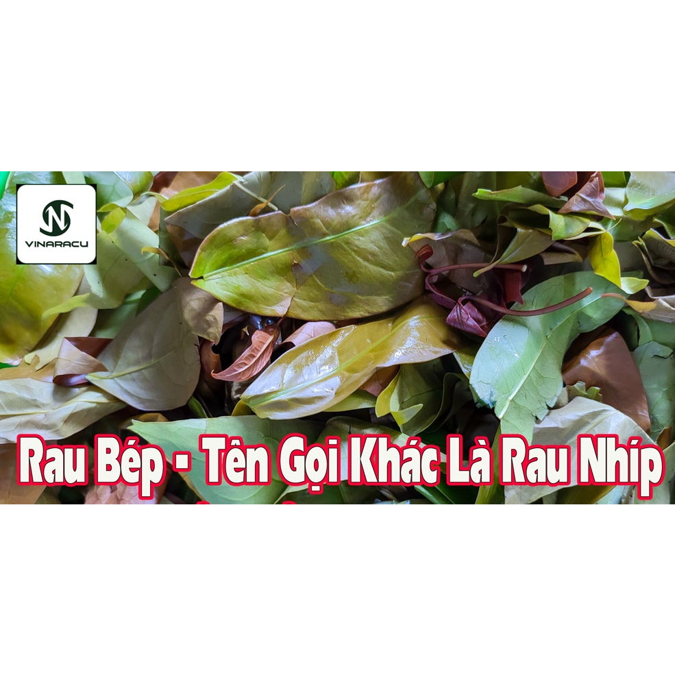 Rau bép (hay rau nhíp) - Đặc sản rừng Đạ Tẻh Lâm Đồng