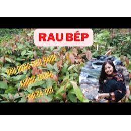 Rau bép (hay rau nhíp) - Đặc sản rừng Đạ Tẻh Lâm Đồng