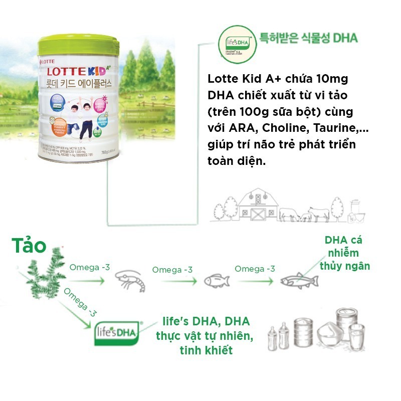 Sữa Bò Lotte Kid A+ Giúp Phát Triển Chiều Cao Lon 760g Bổ Sung Canxi Giúp Ổn Định Hệ Tiêu Hóa Của Bé