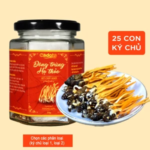 25 C Đông Trùng Hạ Thảo Ký Chủ Nhộng Tằm Sấy Thăng Hoa Cao Cấp (có 2 phân loại ký chủ)