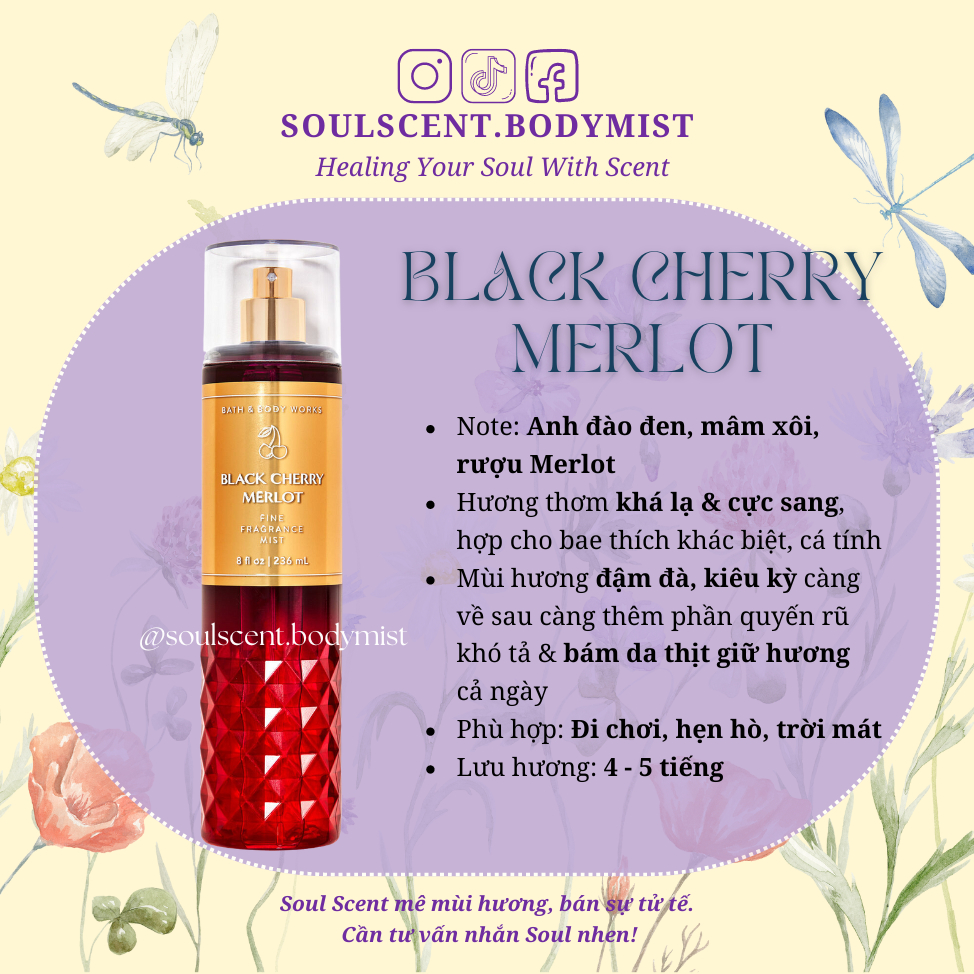 Black Cherry Merlot Body mist xịt thơm nước hoa Bath & Body Works (AUTH ...