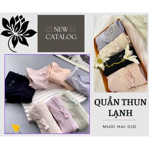 Quần lót cotton co dãn thoáng khí không bí bách A226, Đồ lót 12h