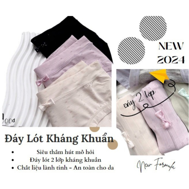 Quần lót cotton co dãn thông thoáng năng động trẻ trung A226, Đồ lót 12h