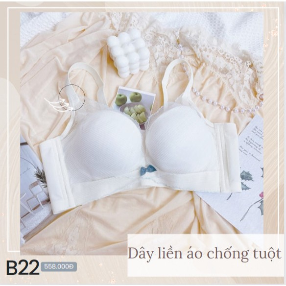 Áo ngực mút vừa nâng ngực bảng lưng to B22, Đồ lót 12h
