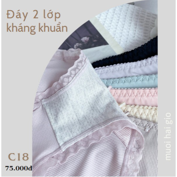 Quần chip vải cotton lạnh siêu mát kháng khuẩn C18, Đồ lót 12h