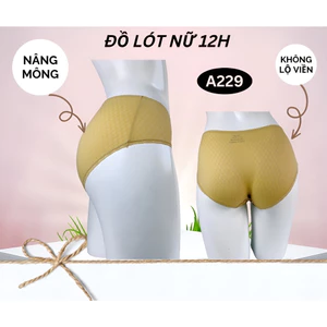 Combo 5 quần chip nữ cotton thun lạnh, co dãn thoáng khí A229