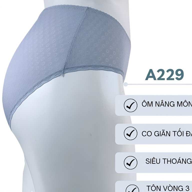 Combo 5 quần chip nữ cotton thun lạnh, co dãn thoáng khí A229
