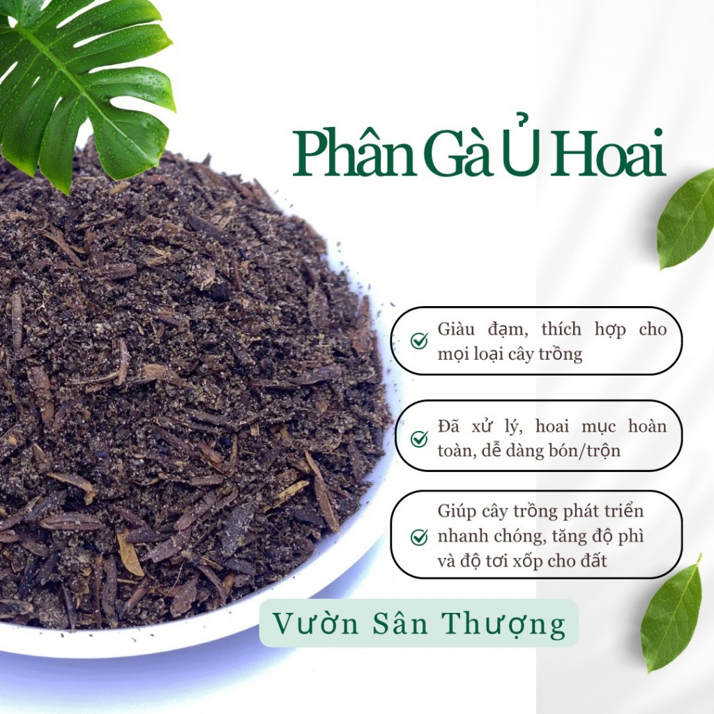 1kg Phân Gà Ủ Hoai Cùng Trấu, Trichoderma, Bón Cho Cây Rau, Củ, Quả, Hồng,..Cây Đậm Vị, Tăng Màu Sắc