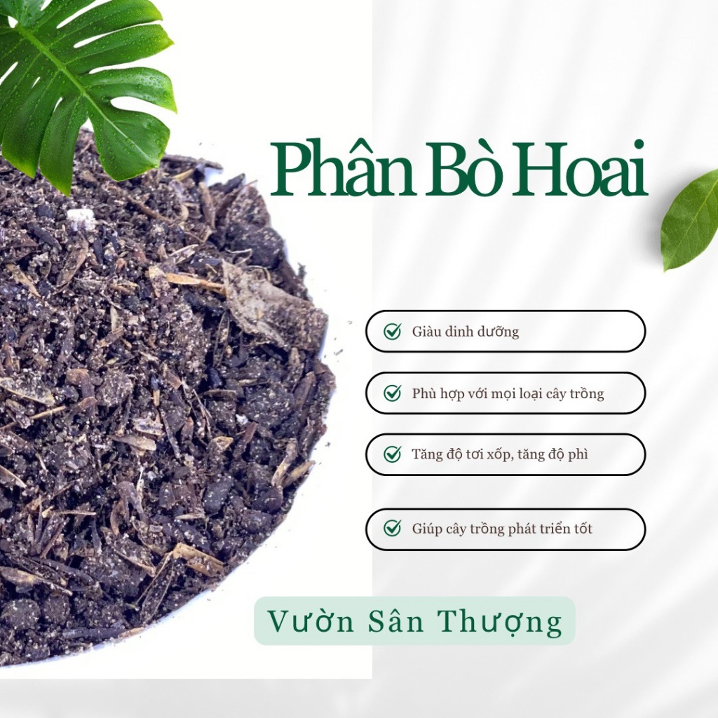 Phân bò hoai 1kg (đã xử lý mầm cỏ dại bằng ủ sinh nhiệt trong chuồng)
