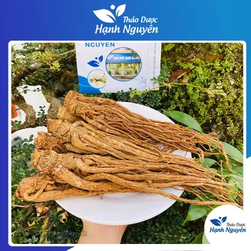 Sâm đương quy, đương quy củ 100g - Thảo Dược Hạnh Nguyên