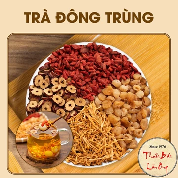 Trà đông trùng hạ thảo 5-10 set mix sẵn, trà thảo mộc gồm: Táo đỏ, long nhãn, đông trùng hạ thảo, kỳ tử