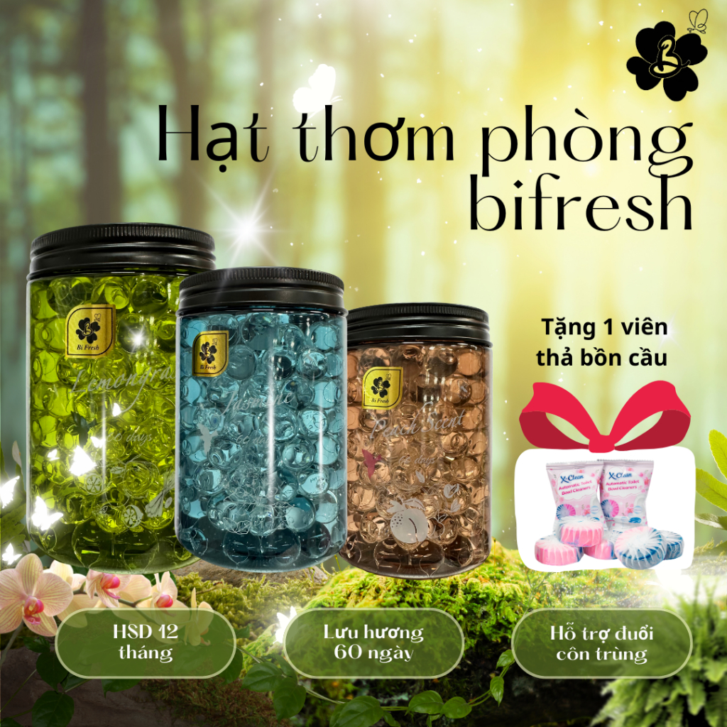 Hạthơm Phòng Bifresh - Hình ảnh thực tế