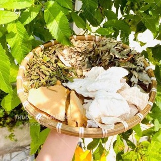 Sâm tố nữ khô 100g, sắn dây củ tròn, thái lát mỏng, thơm, không tẩy trắng, cân bằng nội tiết - Lãn Ông