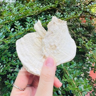 Sâm tố nữ khô 100g, sắn dây củ tròn, thái lát mỏng, thơm, không tẩy trắng, cân bằng nội tiết - Lãn Ông