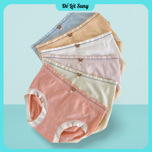 Hộp 6 quần lót nữ, Quần lót nữ gấu chất cotton kháng khuẩn