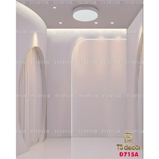 Phông nền Livestream và Chụp Ảnh 3D 5D mẫu có giả trần đẹp mắt, tạo không gian rộng