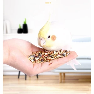 Hạt Trộn Tổng Hợp 2.5kg Cho Vẹt - Lovebird/Cockatiel/Yến Phụng/Dòng Vẹt Nhỏ Vừa, Cung Cấp Protein