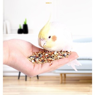 Hạt Trộn Tổng Hợp 2.5kg Cho Vẹt - Lovebird/Cockatiel/Yến Phụng/Dòng Vẹt Nhỏ Vừa, Cung Cấp Protein